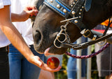 horse and apple