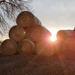 Triangular stack of large round hay bales with the sun setting behind them