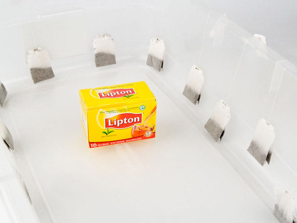 a clear plastic tub with several tea bags in it and a box of lipton tea in the middle