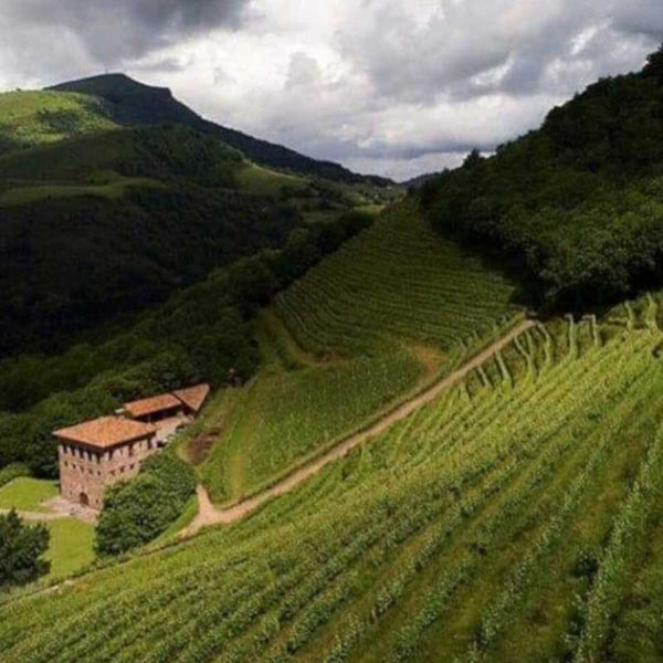 Vin d'Irouleguy - TOP 10 des meilleurs produits basques