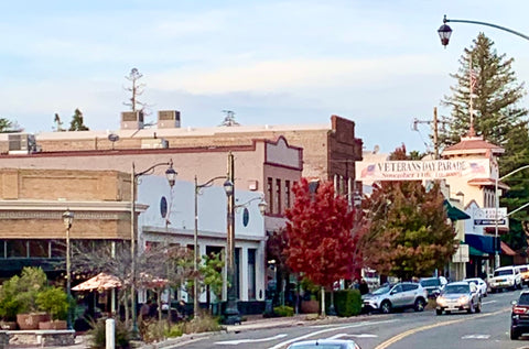 Auburn CA Veterans Day Parade 2019 Downtown Auburn Photo by WATTSWERKS INC