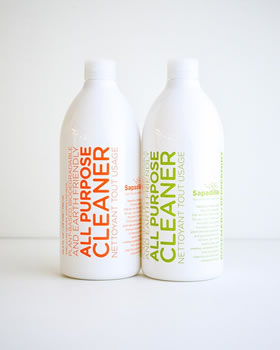 Eco-Friendly All Purpose Cleaners