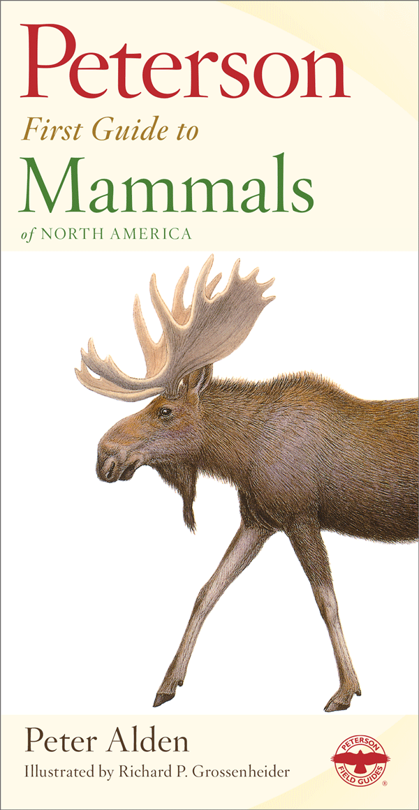 Peterson First Guide to Mammals of North America - Sustain