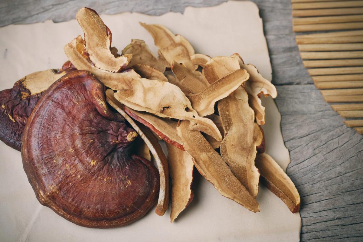 how to dry reishi mushroom?