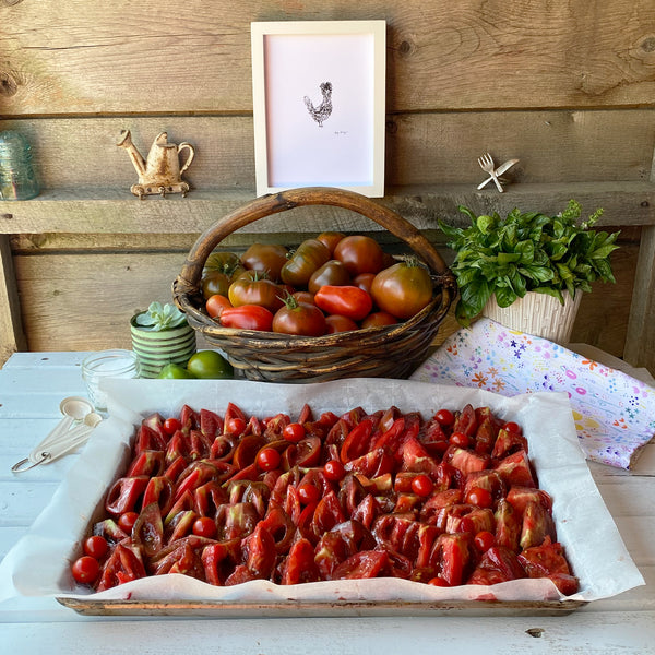 a basket of garden tomatoes, a vase of basil, and a sheet pan of garden tomatoes before being slow-roasted