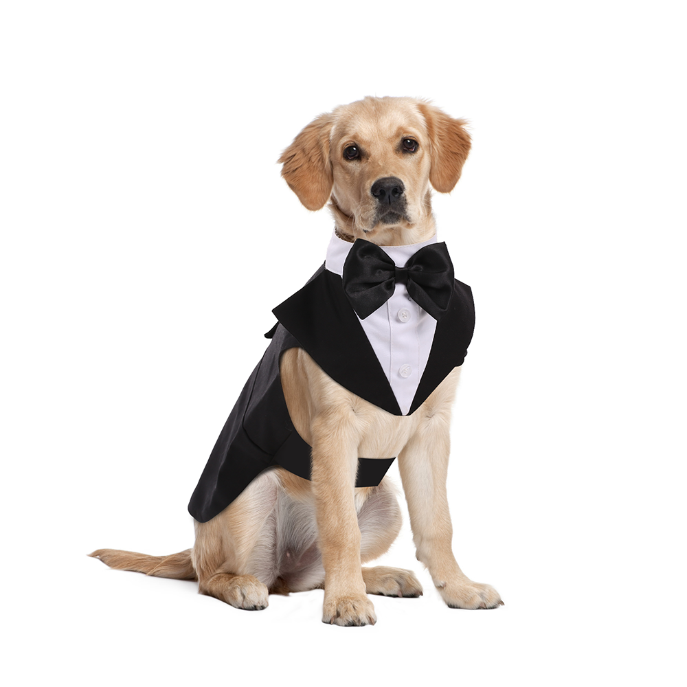 Dog Tuxedo Suit and Bandana Set – KUOSER