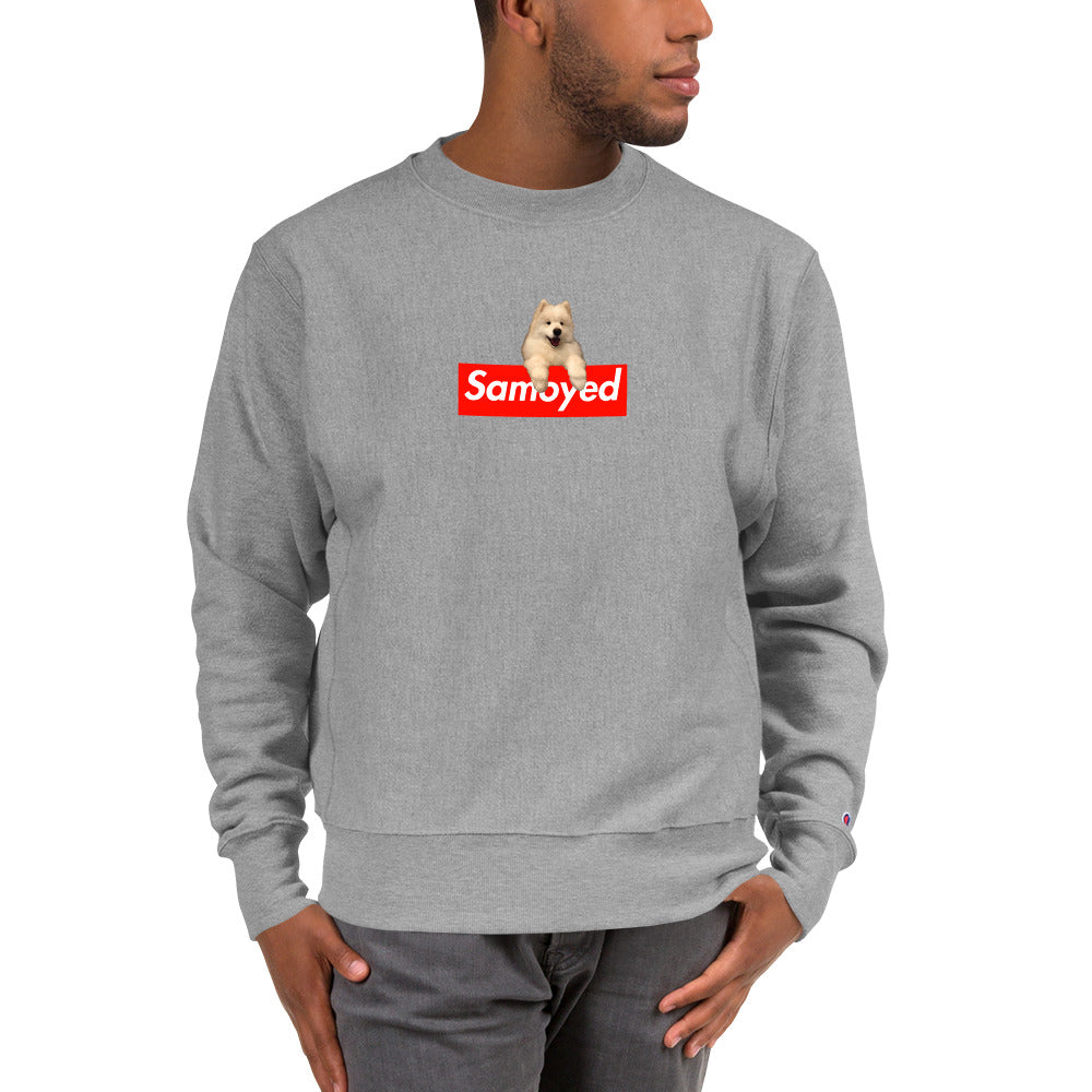 champion sweatshirt with logo on sleeve