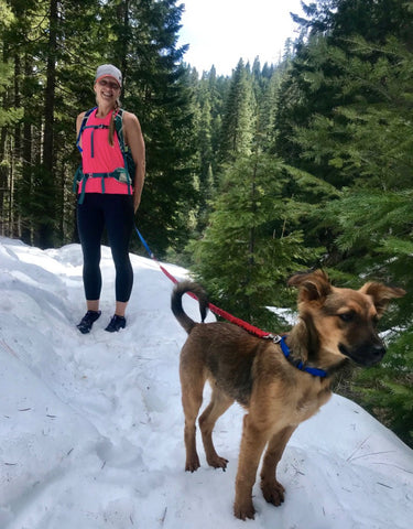 Rani the dog hiking in snow