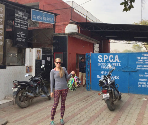 SPCA Chandigarh Animal Shelter