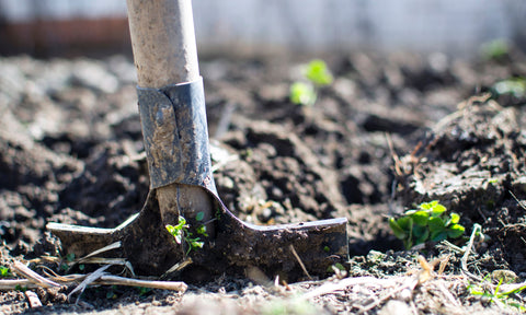Gardening shovel in soil