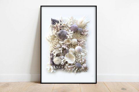 violet coral art framed