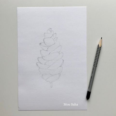 Pinecone Sketch with Graphite Pencil Grip