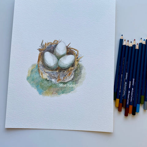Birds nest sketch with Goldfaber Color Pencils