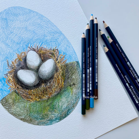 Complete birds nest sketch with Goldfaber Color Pencils