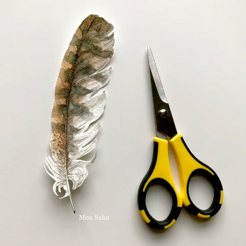 Cut Feather Sketch with Scissors