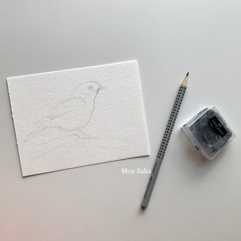 Bird Sketch with Graphite Pencil