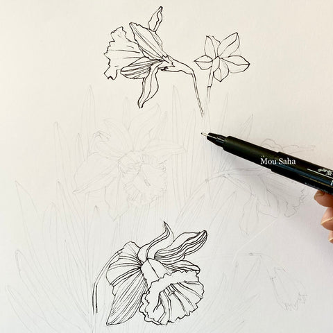Daffodil sketch with Pitt Artist Pen