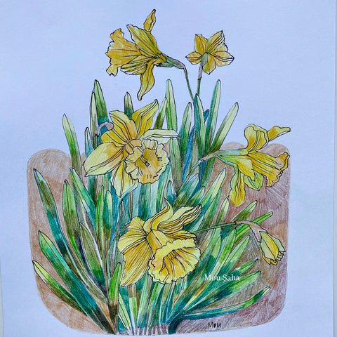 Daffodil sketch 