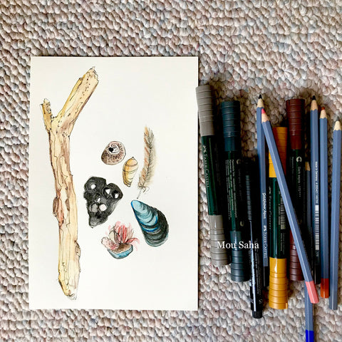 Watercolor Sea Shells and Watercolor Pencils and Pitt Artist Pens