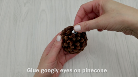 Googly Eye on Pinecone