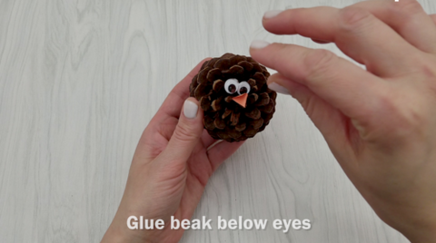 Pinecone with Googly Eyes and Beak