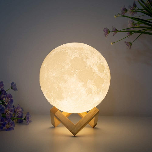 ecozone moonlight night light