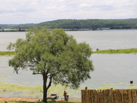 Paysage Route du Maté Paraguay