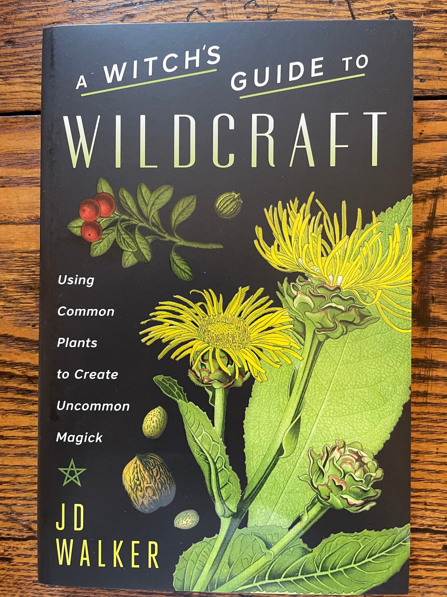 A Witch’s Guide to Wildcraft