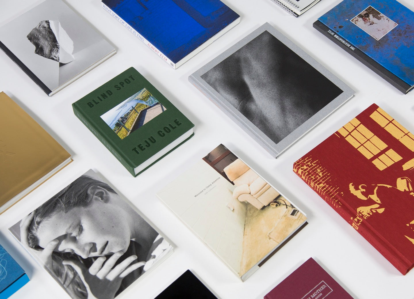 DAP /Artbook- The largest distributor for Artist Imprints