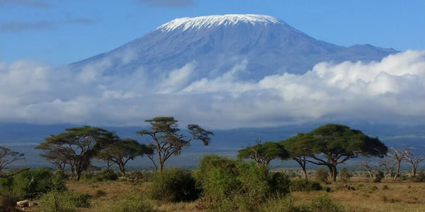 Top 10 Holiday Destinations for avid traveller - Arusha, Tanzania