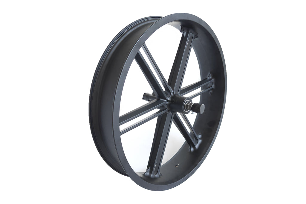 20 fat bike wheel