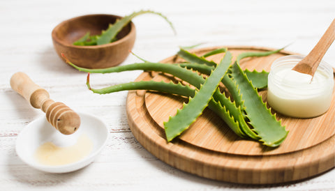 aloe-vera-for-skin