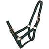 Blue Tag Striped Web Halter