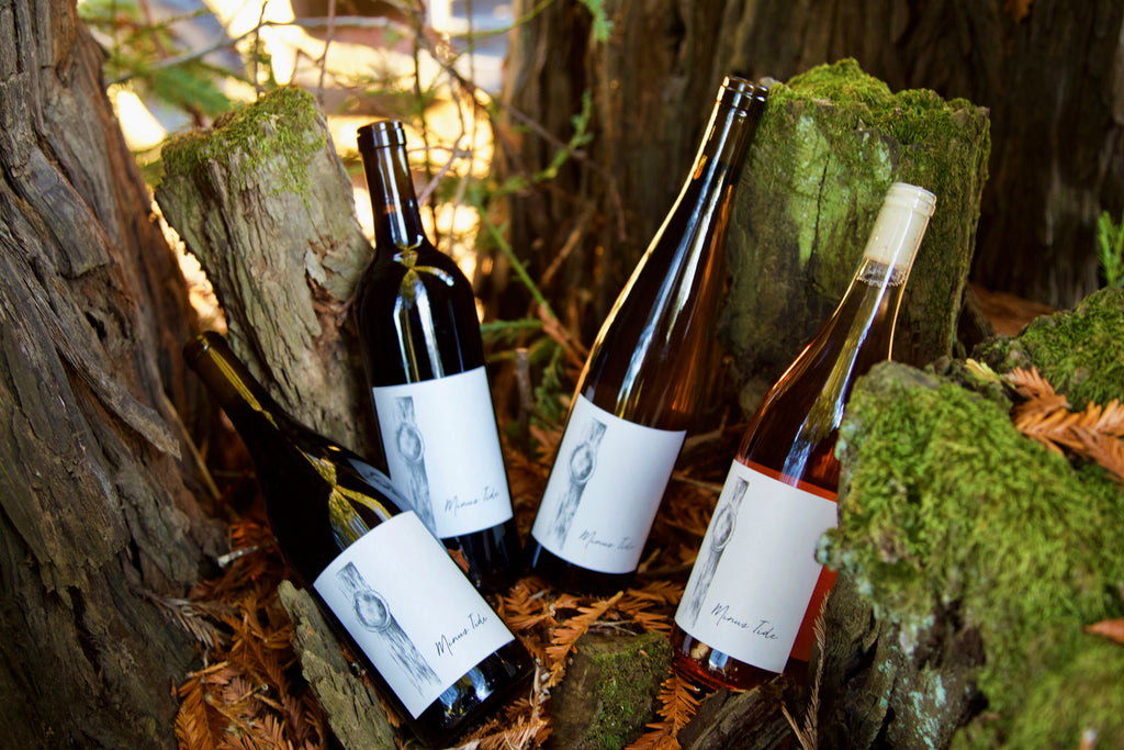 Contact Us Minus Tide Wines