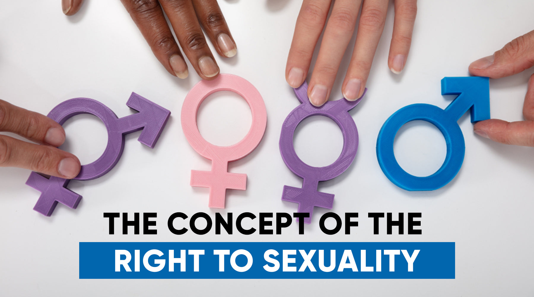 The Concept Of The Right To Sexuality 2539