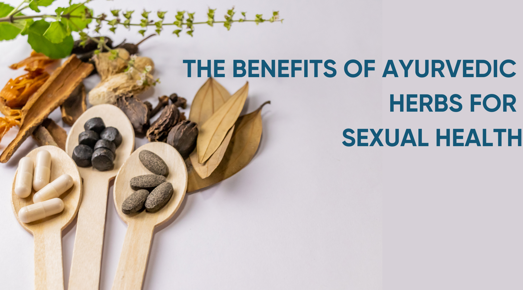 The Benefits Of Ayurvedic Herbs For Sexual Health 0099