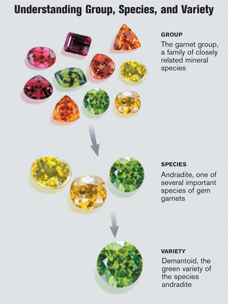 GIA Garnet Species Classification