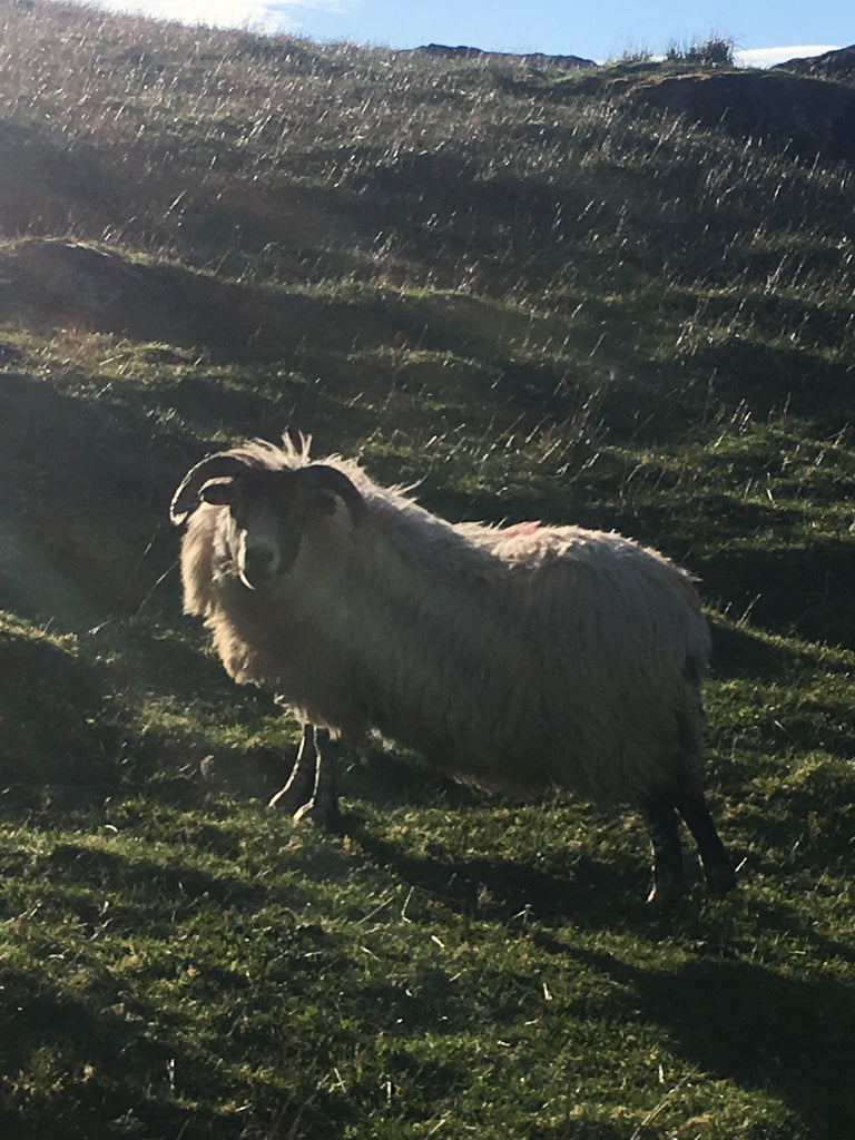 One of the locals. Photo: Erik Schulte