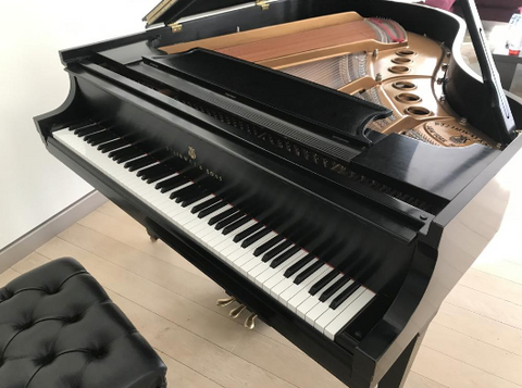 Pristine 2005 Lightly Used Steinway Model M Grand Piano