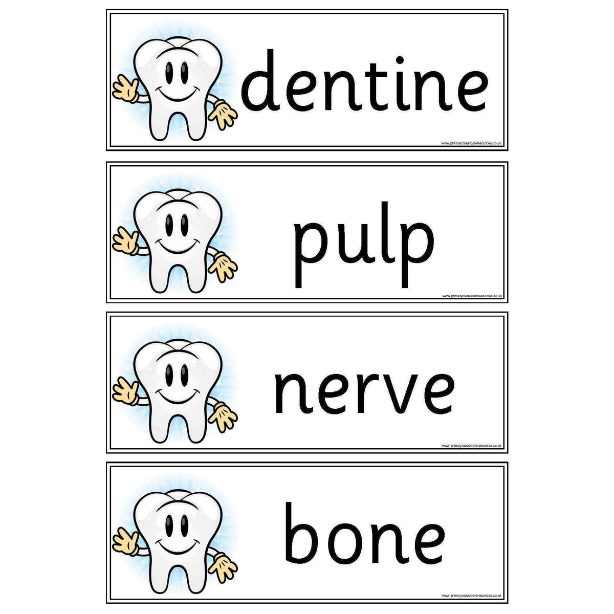 primary resources teeth and eating