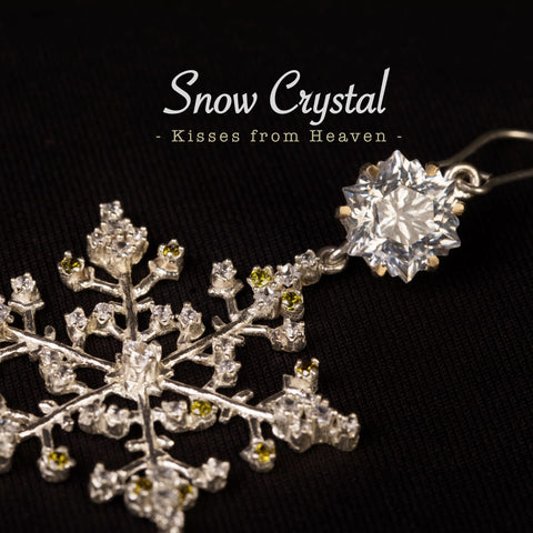 Snowflakes Christmas Snow Crystal Collection
