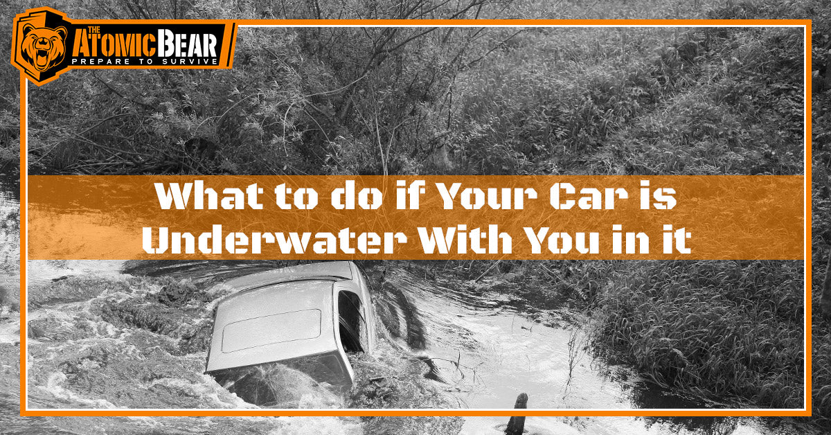 What to do if Your Car is Underwater With You in it?