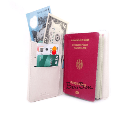 Why You Should Have A Passport Holder Or Passport Case? Pros and Cons