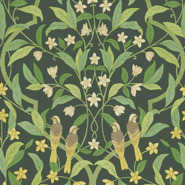 Jasmine & Serin Symphony Wallpaper - Cole & Son