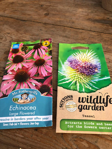 Echinacea and teasel seed packs 
