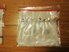 Growing seeds in plastic bag