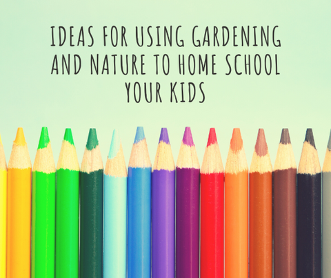 Title photo with colourful pencils for ideas for using gardening and nature to home school kids