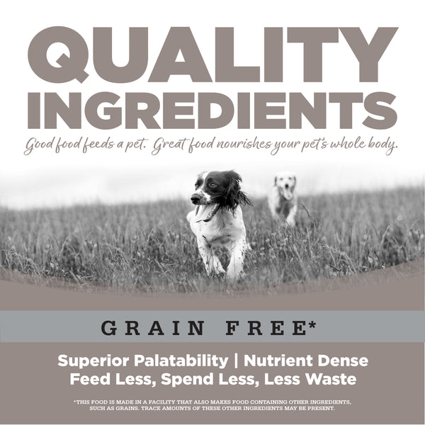 a very good senior grain free dog food