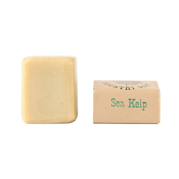 sea kelp soap