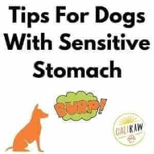 what helps a dog with a sensitive stomach